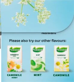 Pickwick Sterrenmunt Kruidenthee - 4 X 20 Zakjes -Voedsel Serie Winkel 1091x1200 1