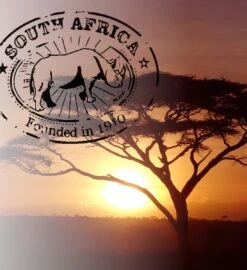 Soolong South Africa Nr40 Rooibos Cadeau Of Proefpakket Met Vier Luxe Theeen - Losse Rooibos & Honeybush - Ideaal Als Relatiegeschenk, Proeverij Of Met Valentijnsdag - Assortiment 4stuks -Voedsel Serie Winkel 1096x1200 3