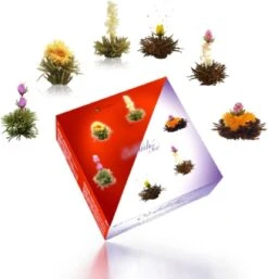 Creano Theebloemen Geschenkset Kadoverpakking Theebloemen En Glazen Theekan - Witte Theebloemen En Zwarte Theebloemen (6 Stuks) 15 Creano Theebloemen Geschenkset Kadoverpakking Theebloemen En Glazen Theekan - Witte Theebloemen En Zwarte Theebloemen (6 Stuks) -Voedsel Serie Winkel 1155x1200 4