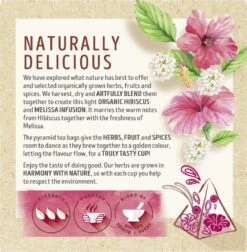 Lipton Hibiscus & Melissa Kruidenthee, Met De Zoete Smaak Van Hibiscus En De Frisse Smaak Van Melissa - 4 X 20 Zakjes - PL-EKO-03 -Voedsel Serie Winkel 1175x1200 2