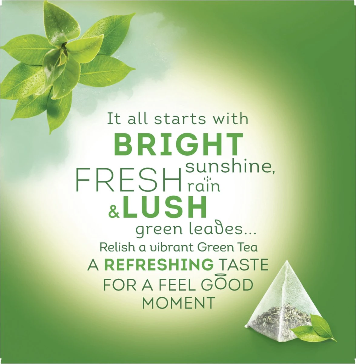 Lipton Fresh Nature Groene Thee, Met De Frisse Pure Smaak Van De Natuur - 4 X 20 Zakjes - PL-EKO-03 4 Lipton Fresh Nature Groene Thee, Met De Frisse Pure Smaak Van De Natuur - 4 X 20 Zakjes - PL-EKO-03 - Afbeelding 4