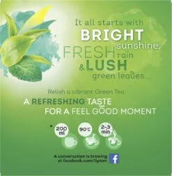 Lipton Intense Mint Groene Thee, Met De Verfrissende Smaak Van Groene Thee En Echte Muntblaadjes - 4 X 20 Zakjes - PL-EKO-03 -Voedsel Serie Winkel 1176x1200 1