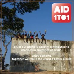 Soolong Sense China Nr11 Gember Thee - Verkwikkend & Krachtig - Gember & Citroengras - Duurzame Losse Thee - Premium Kruidenthee Uit China - Blik 25gram -Voedsel Serie Winkel 1199x1200