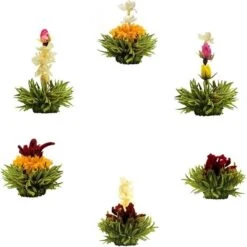 Theebloemen Boeket Groene Thee | 6 Stuks