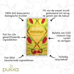 Pukka Three Ginger Thee, Met Kurkuma, Gember En Galangawortel - 4 X 20 Zakjes - GB-BIO-05 10 Pukka Three Ginger Thee, Met Kurkuma, Gember En Galangawortel - 4 X 20 Zakjes - GB-BIO-05 -Voedsel Serie Winkel 1200x1200 253