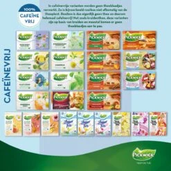 Pickwick Sterrenmunt Kruidenthee - 4 X 20 Zakjes -Voedsel Serie Winkel 1200x1200 254