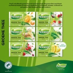 Pickwick Pure Groene Thee - 12 X 20 Zakjes -Voedsel Serie Winkel 1200x1200 349