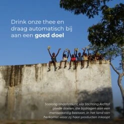 Soolong See Japan Nr32 Exclusieve Japanse Groene Thee - Umami - Fukamuchicha Uit Japan - Duurzame Losse Thee - Sencha Thee - Blik 35gram -Voedsel Serie Winkel 1200x1200 355