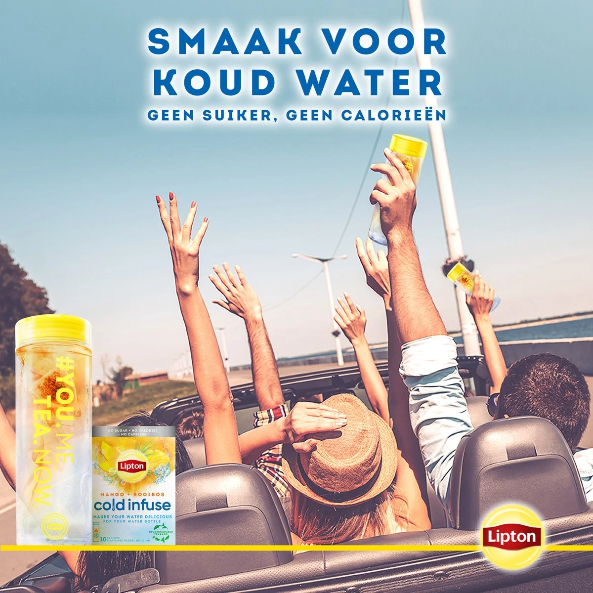 Lipton Cold Infuse Rooibos & Mango, Smaak Voor Koud Water Zonder Suiker En Calorieën - 6 X 10 Zakjes - NL-BIO-01 6 Lipton Cold Infuse Rooibos & Mango, Smaak Voor Koud Water Zonder Suiker En Calorieën - 6 X 10 Zakjes - NL-BIO-01 - Afbeelding 6