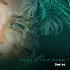 Soolong Sense Oost Timor Nr1000 Koffiebonen Smooth Lacau - Speciality Koffie Arabica Medium Roast Met Rijke Kruidige Smaak Met Heerlijke Ondertonen Van Karamel - Zak 250gram -Voedsel Serie Winkel 1200x1200 58