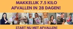TeaTox™ 28 Dagen Afvallen Detox - Thee - Detox + E-book 30 Recepten -Voedsel Serie Winkel 1200x489