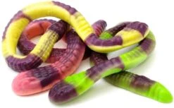 Vidal Anaconda - 1 Kilo -Voedsel Serie Winkel 1200x744