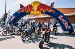 Red Bull Summer Cactus Edition - 24 X 25cl -Voedsel Serie Winkel 1200x799 14