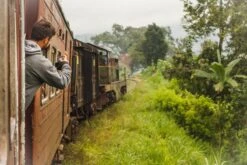 Teamasters Pure & Blends Mixbox - 6 X 60 Gram - Biologische Losse Thee - Rooibos Thee - Munt Thee - Citroen Thee - Groene Thee - Jasmijn Thee - Zwarte Thee - Oolong Thee - IJsthee - Zomer 10 Teamasters Pure & Blends Mixbox - 6 X 60 Gram - Biologische Losse Thee - Rooibos Thee - Munt Thee - Citroen Thee - Groene Thee - Jasmijn Thee - Zwarte Thee - Oolong Thee - IJsthee - Zomer -Voedsel Serie Winkel 1200x800 36