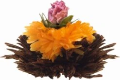 Creano Theebloemen Geschenkset Kadoverpakking Theebloemen En Glazen Theekan - Witte Theebloemen En Zwarte Theebloemen (6 Stuks) 18 Creano Theebloemen Geschenkset Kadoverpakking Theebloemen En Glazen Theekan - Witte Theebloemen En Zwarte Theebloemen (6 Stuks) -Voedsel Serie Winkel 1200x805