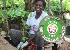 Côte D'Or Cadeau - VINTAGE Mignonnette - Pure Chocolade Bonbons - 240g -Voedsel Serie Winkel 1200x850 2