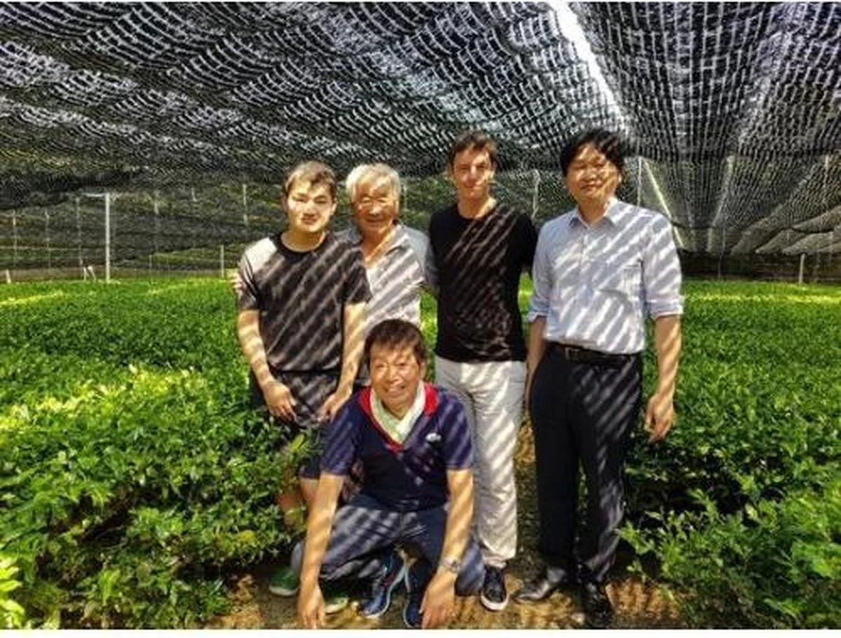 Matcha Thee Starters Kit - Alles Wat U Nodig Heeft Voor De Perfecte Japanse Matcha! Vandaag Besteld, Morgen In Huis! ✔ Gratis Matcha Boek Bij Uw Bestelling! 10 Matcha Thee Starters Kit - Alles Wat U Nodig Heeft Voor De Perfecte Japanse Matcha! Vandaag Besteld, Morgen In Huis! ✔ Gratis Matcha Boek Bij Uw Bestelling! - Afbeelding 10