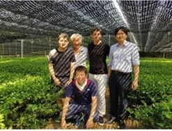 Matcha Latte - 50 Gram - Maak De Lekkerste Latte's -Voedsel Serie Winkel 1200x911