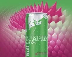 Red Bull Summer Cactus Edition - 24 X 25cl -Voedsel Serie Winkel 1200x942 1
