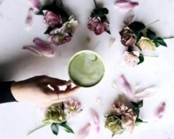 Matcha Thee Starters Kit - Alles Wat U Nodig Heeft Voor De Perfecte Japanse Matcha! Vandaag Besteld, Morgen In Huis! ✔ Gratis Matcha Boek Bij Uw Bestelling! 23 Matcha Thee Starters Kit - Alles Wat U Nodig Heeft Voor De Perfecte Japanse Matcha! Vandaag Besteld, Morgen In Huis! ✔ Gratis Matcha Boek Bij Uw Bestelling! -Voedsel Serie Winkel 1200x960