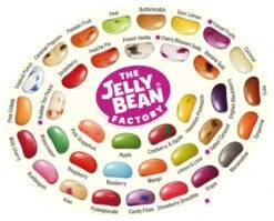The Jelly Bean Factory Snoeppot à 1,4 Kg Snoep - 36 Huge Flavours Jelly Beans -Voedsel Serie Winkel 1200x965