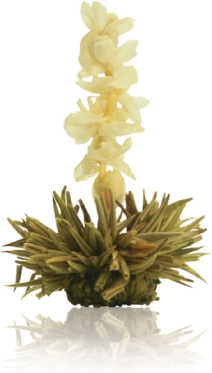 Creano Theebloemen Geschenkset Kadoverpakking Theebloemen En Glazen Theekan - Witte Theebloemen En Zwarte Theebloemen (6 Stuks) 8 Creano Theebloemen Geschenkset Kadoverpakking Theebloemen En Glazen Theekan - Witte Theebloemen En Zwarte Theebloemen (6 Stuks) - Afbeelding 8