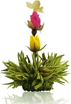 Creano Theebloemen Pakket Groene Thee - Fruitsmaken - 6 Stuks - 10 Creano Theebloemen Pakket Groene Thee - Fruitsmaken - 6 Stuks - -Voedsel Serie Winkel 826x1200 2