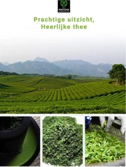 TMomentes® High Quality Culinary MATCHA Thee - Matcha Poeder - Matcha Thee - 100% Organisch Gecertificeerd - 100 Gram -Voedsel Serie Winkel 907x1200 1