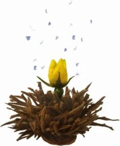 Creano Theebloemen Geschenkset Kadoverpakking Theebloemen En Glazen Theekan - Witte Theebloemen En Zwarte Theebloemen (6 Stuks) 14 Creano Theebloemen Geschenkset Kadoverpakking Theebloemen En Glazen Theekan - Witte Theebloemen En Zwarte Theebloemen (6 Stuks) -Voedsel Serie Winkel 992x1200 1