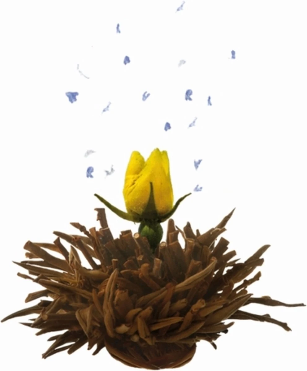 Creano Theebloemen Geschenkset Kadoverpakking Theebloemen En Glazen Theekan - Witte Theebloemen En Zwarte Theebloemen (6 Stuks) 5 Creano Theebloemen Geschenkset Kadoverpakking Theebloemen En Glazen Theekan - Witte Theebloemen En Zwarte Theebloemen (6 Stuks) - Afbeelding 5